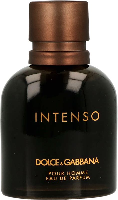 dolce gabbana intenso rossmann